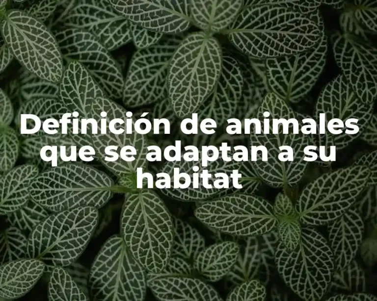Definición de animales que se adaptan a su habitat