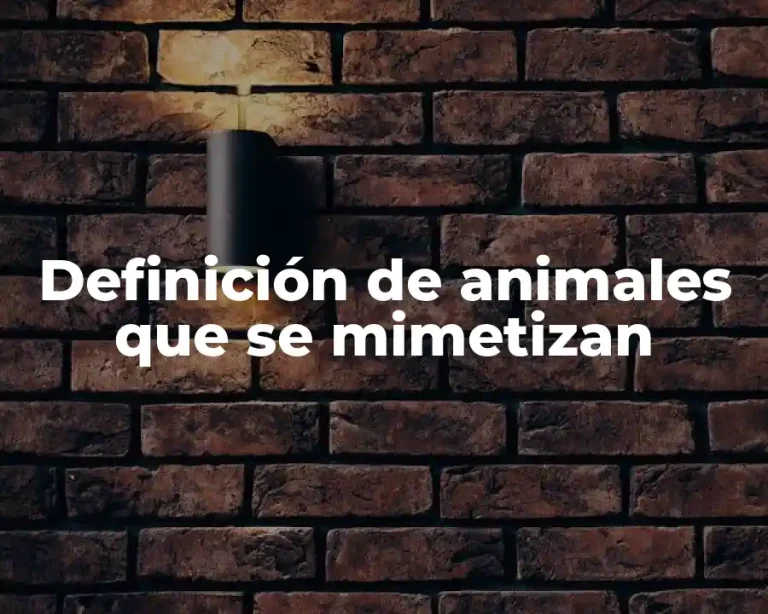 Definición de animales que se mimetizan