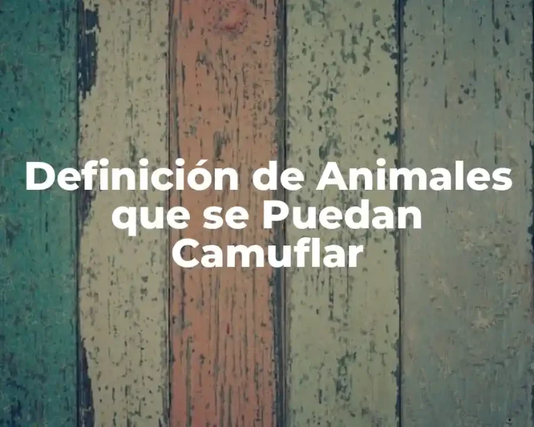 Definición de Animales que se Puedan Camuflar