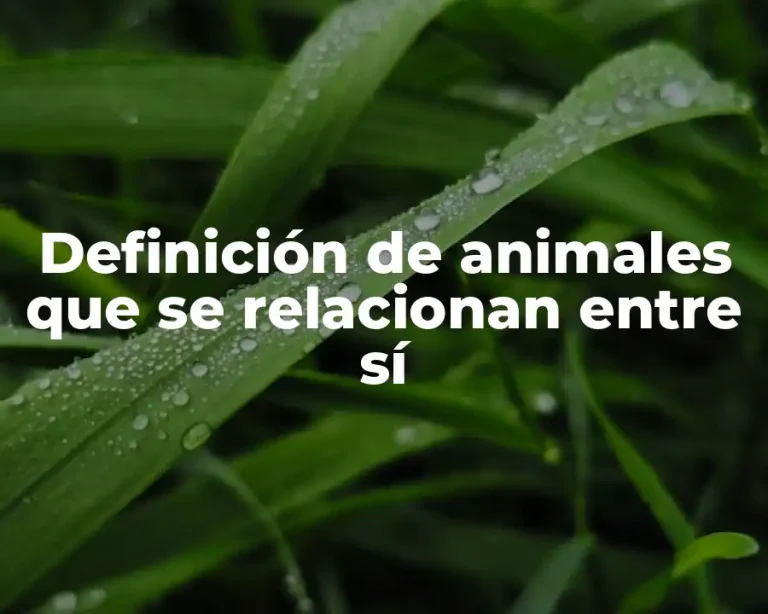 Definición de animales que se relacionan entre sí