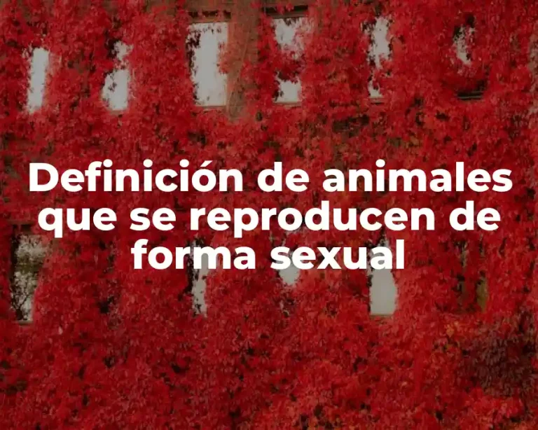 Definición de animales que se reproducen de forma sexual