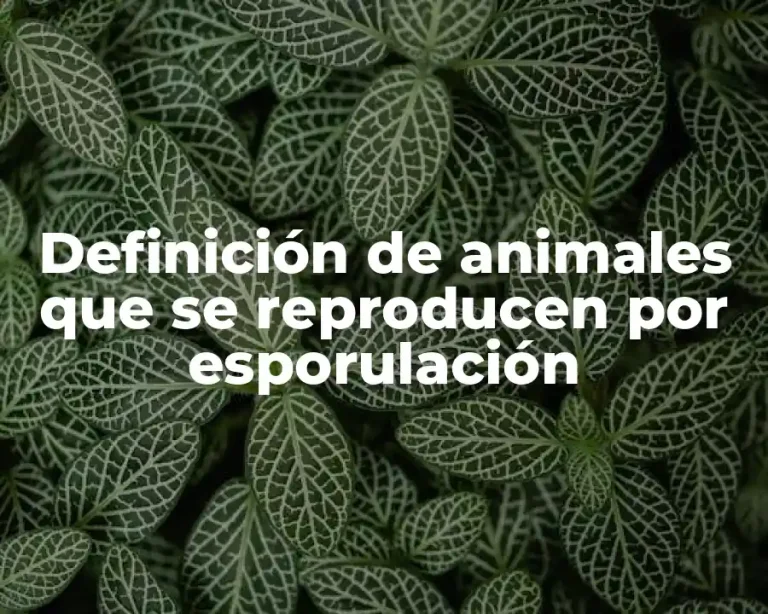Definición de animales que se reproducen por esporulación