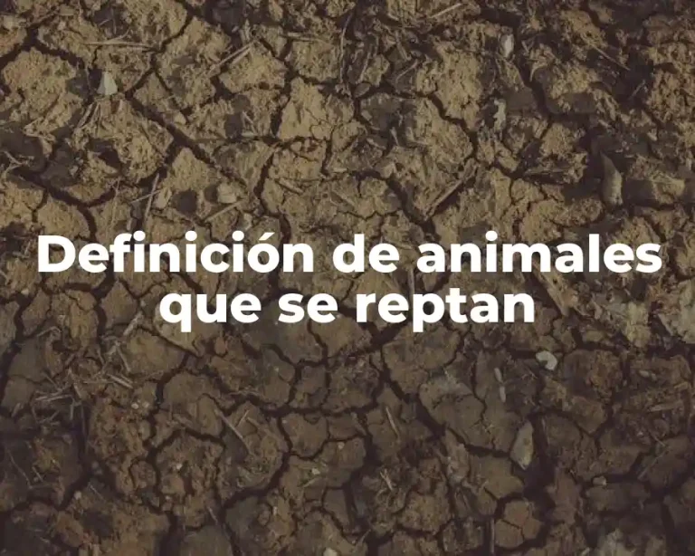 Definición de animales que se reptan