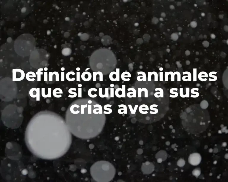 Definición de animales que si cuidan a sus crias aves