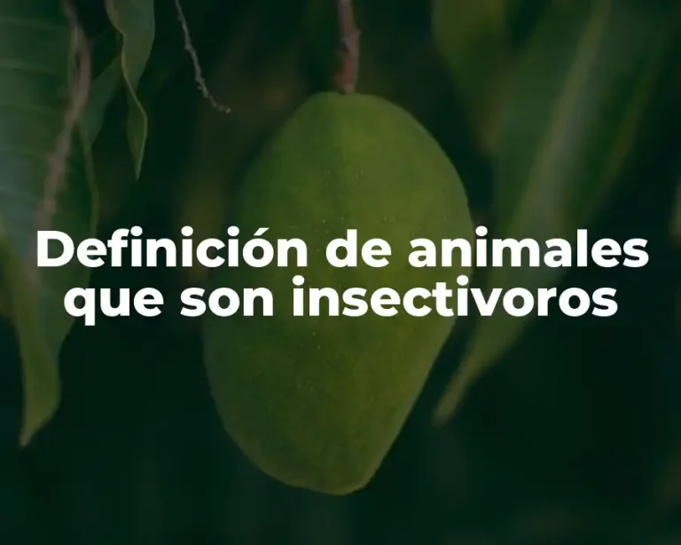 Definición de animales que son insectivoros