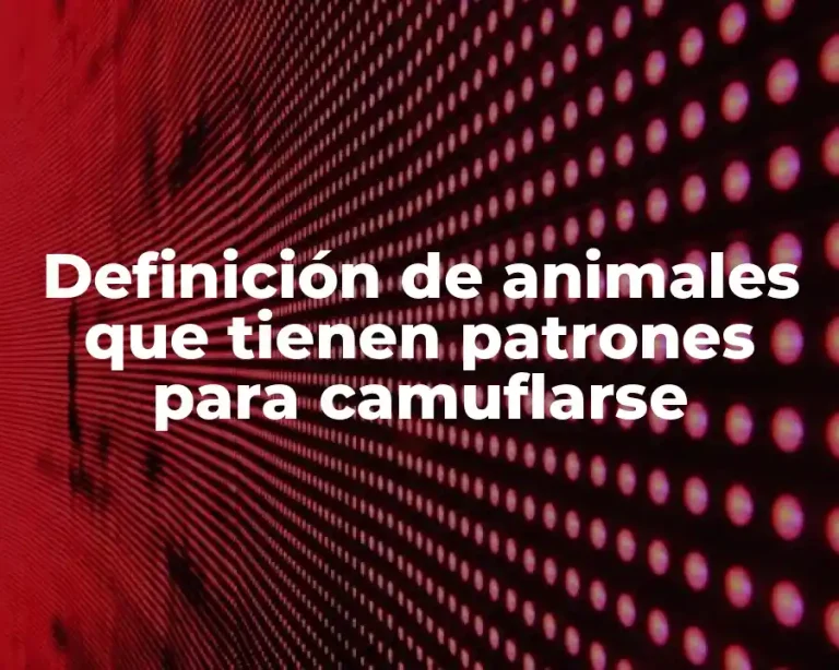 Definición de animales que tienen patrones para camuflarse
