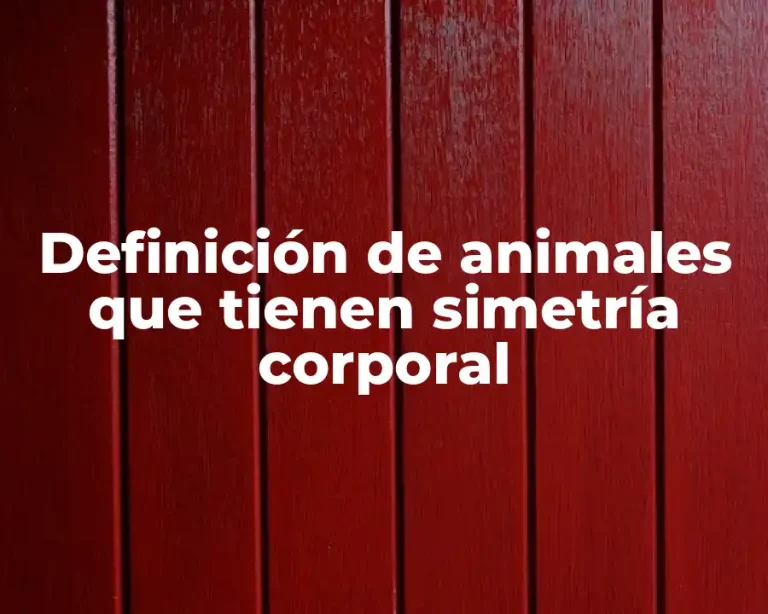 Definición de animales que tienen simetría corporal