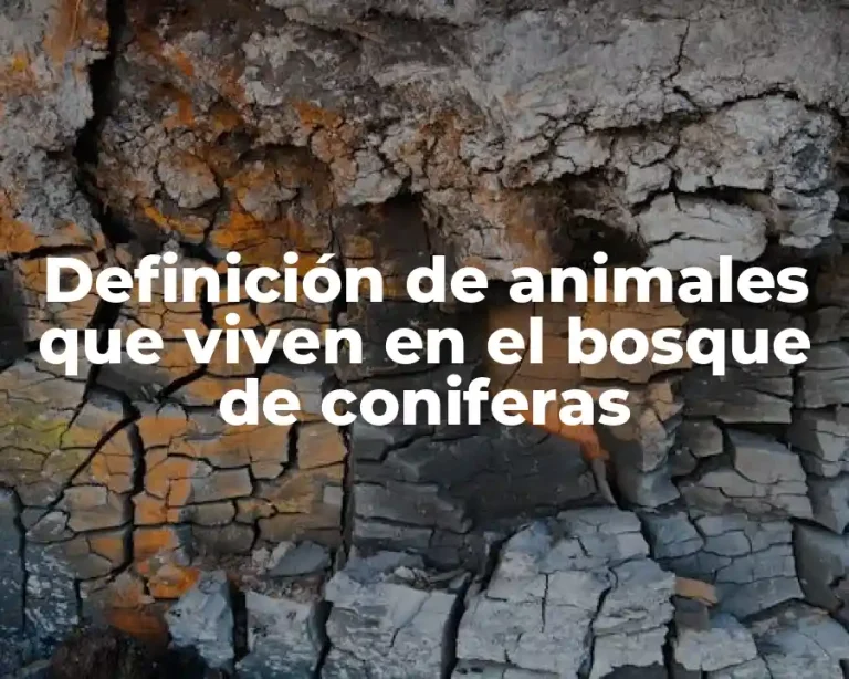 Definición de animales que viven en el bosque de coniferas