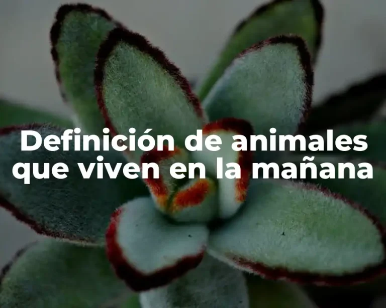 Definición de animales que viven en la mañana