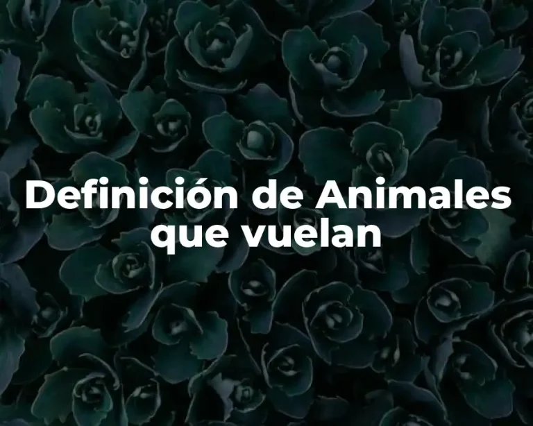 Definición de Animales que vuelan