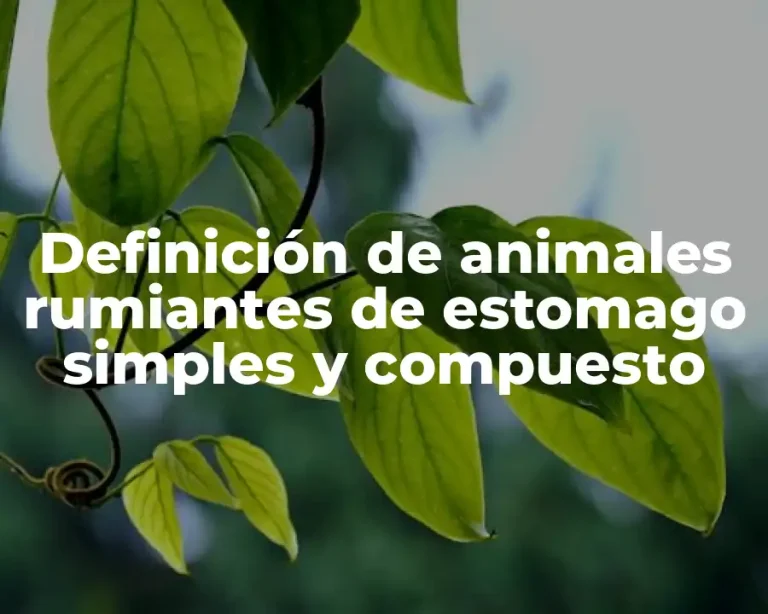 Definición de animales rumiantes de estomago simples y compuesto