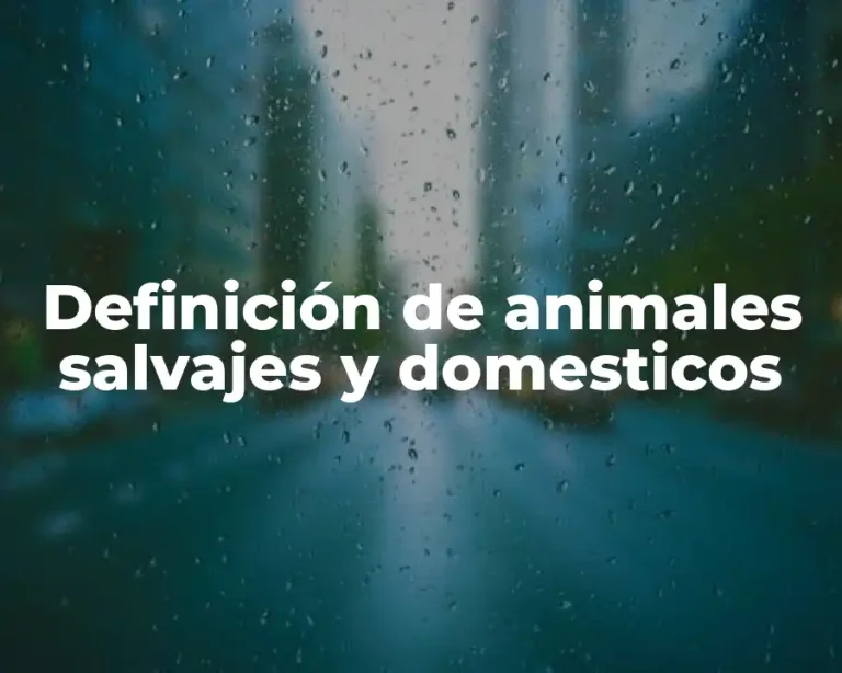 Definición de animales salvajes y domesticos