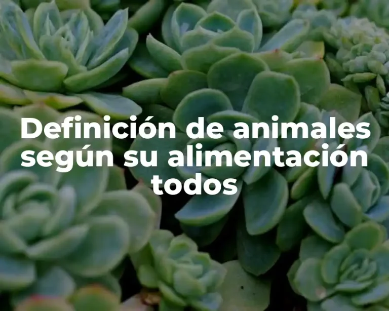 Definición de animales según su alimentación todos