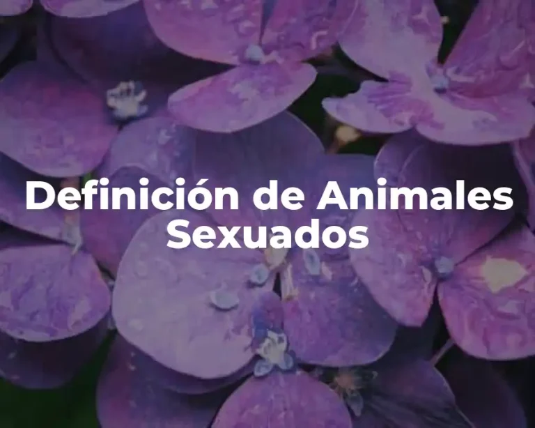 Definición de Animales Sexuados