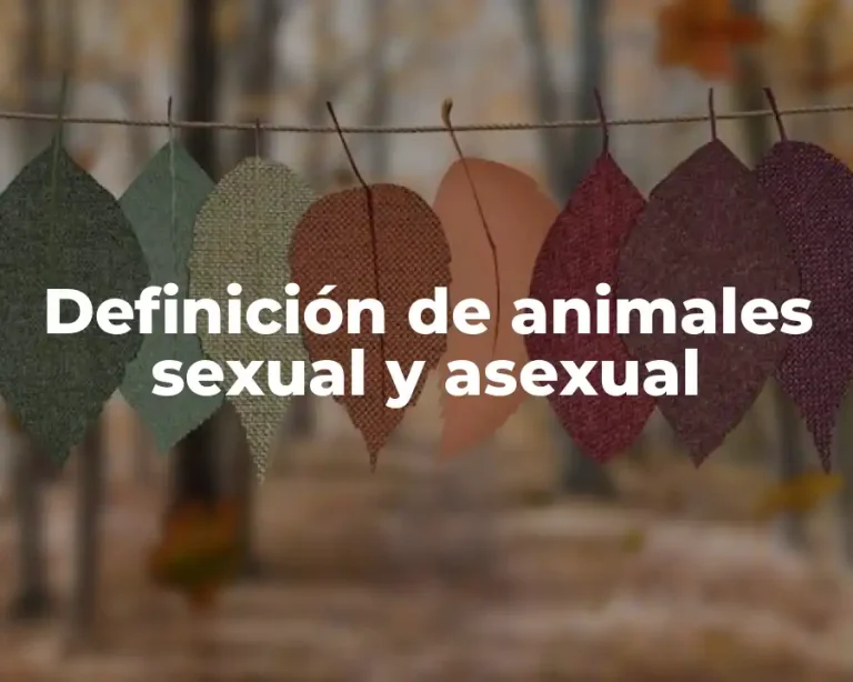 Definición de animales sexual y asexual