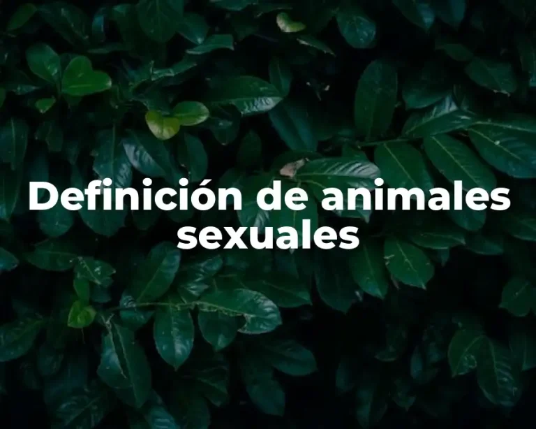 Definición de animales sexuales