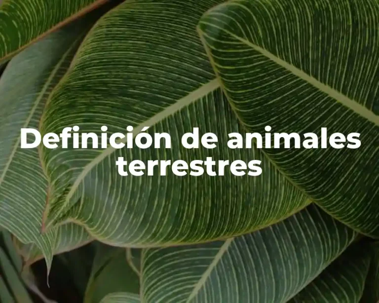 Definición de animales terrestres