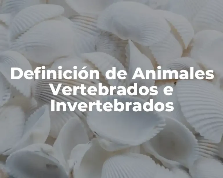 Definición de Animales Vertebrados e Invertebrados