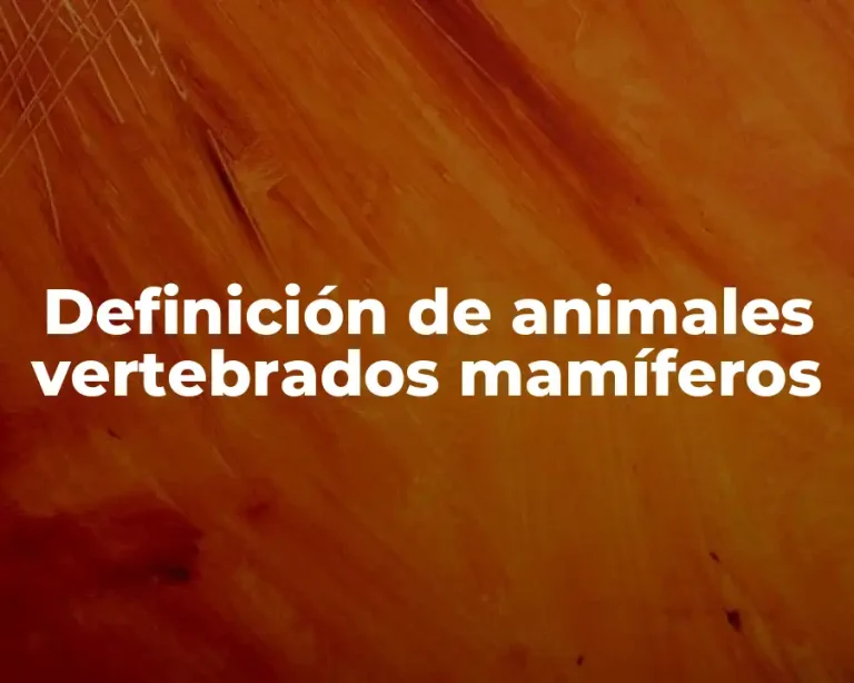 Definición de animales vertebrados mamíferos