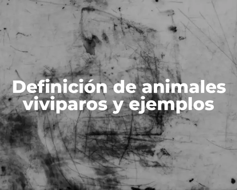 Definición de animales viviparos y ejemplos
