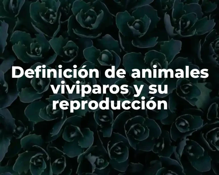 Definición de animales viviparos y su reproducción