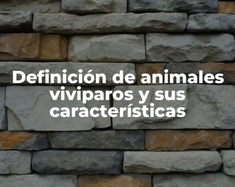 Definición de animales viviparos y sus características