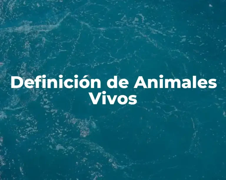 Definición de Animales Vivos