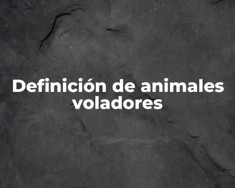 Definición de animales voladores