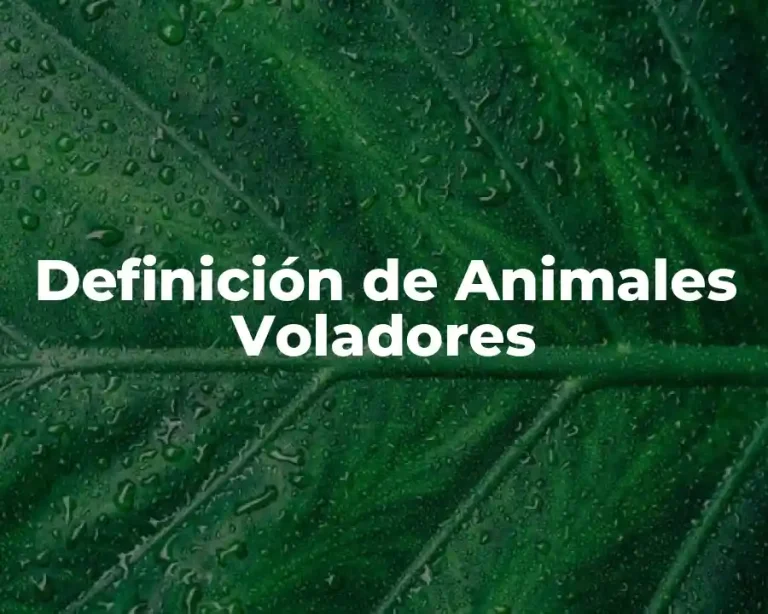Definición de Animales Voladores