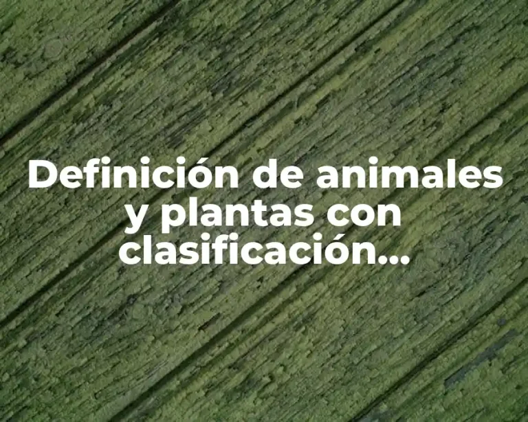 Definición de animales y plantas con clasificación taxonómica en BC