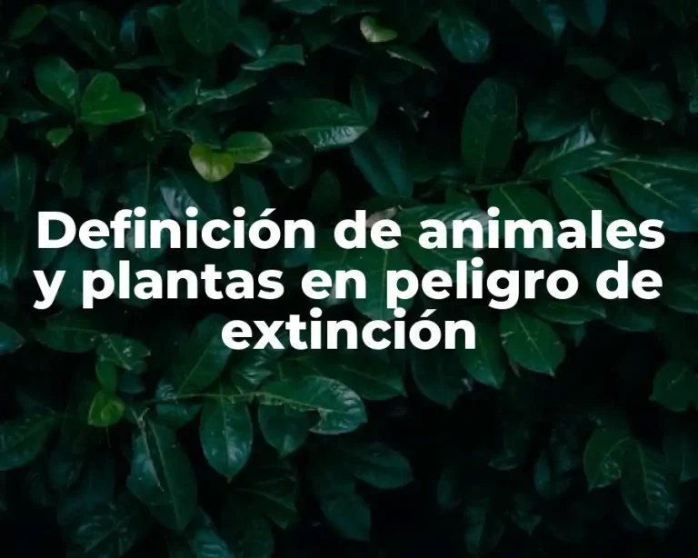 Definición de animales y plantas en peligro de extinción