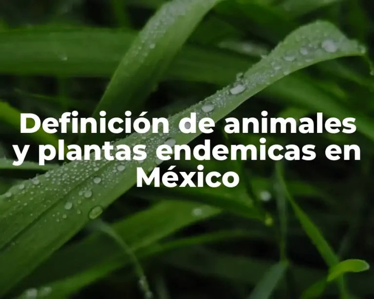 Definición de animales y plantas endemicas en México