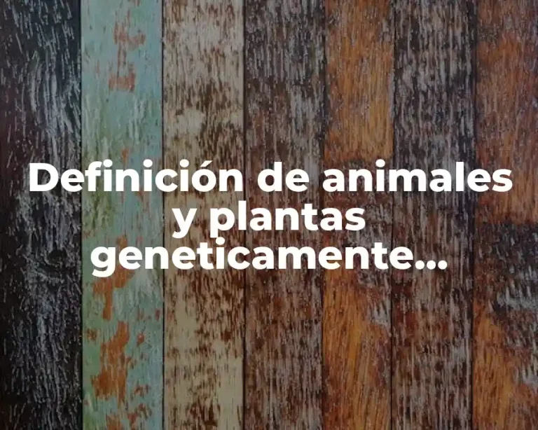 Definición de animales y plantas geneticamente modificados en México