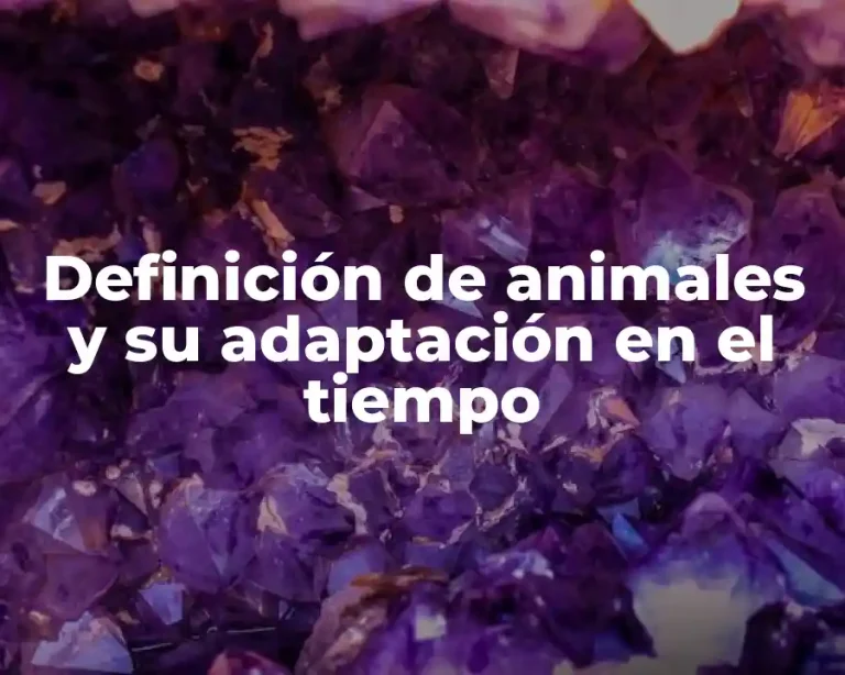 Definición de animales y su adaptación en el tiempo