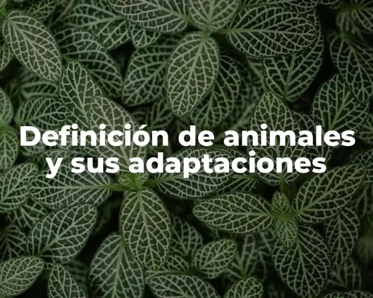 Definición de animales y sus adaptaciones