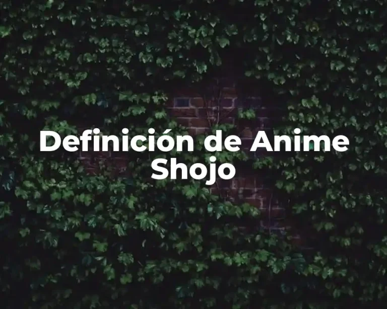 Definición de Anime Shojo