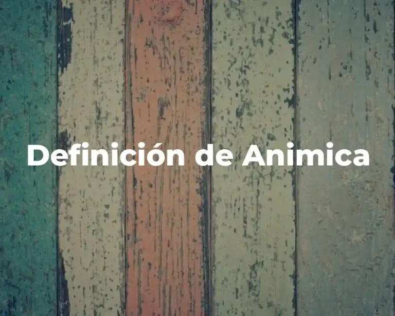 Definición de Animica