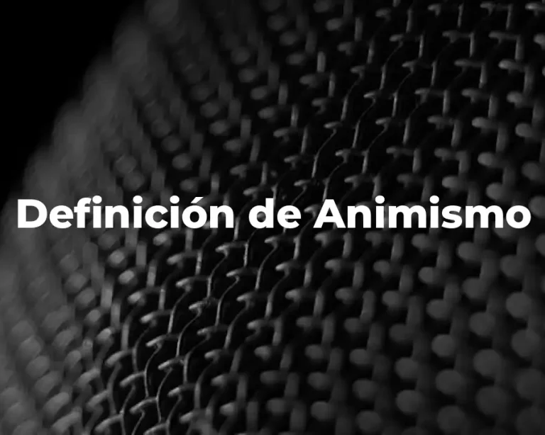 Definición de Animismo