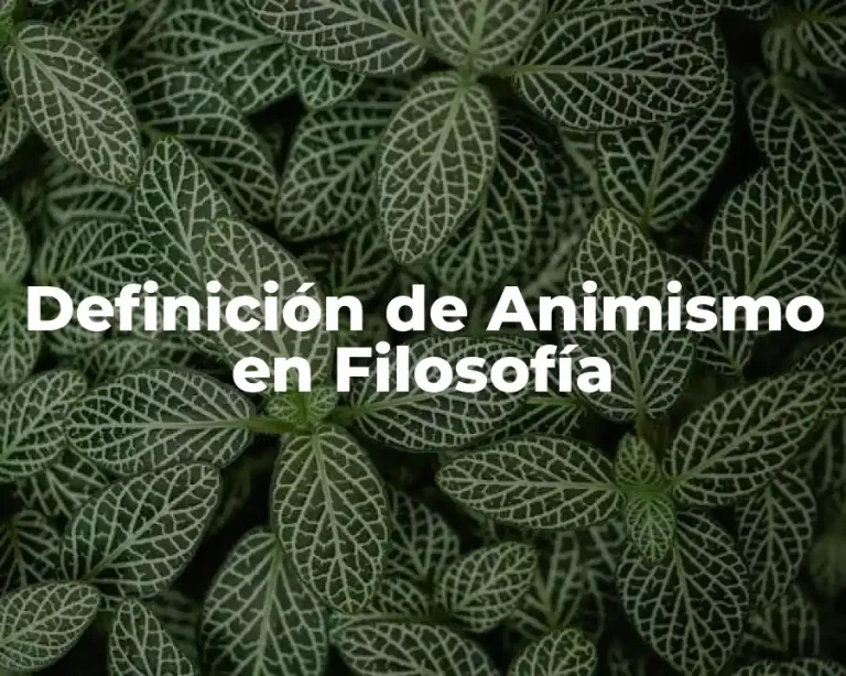 Definición de Animismo en Filosofía