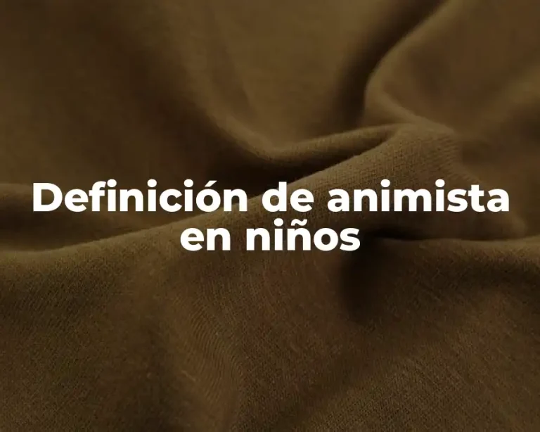 Definición de animista en niños