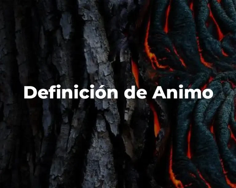 Definición de Animo