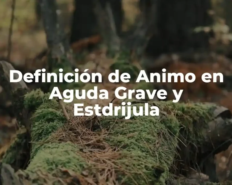 Definición de Animo en Aguda Grave y Estdrijula