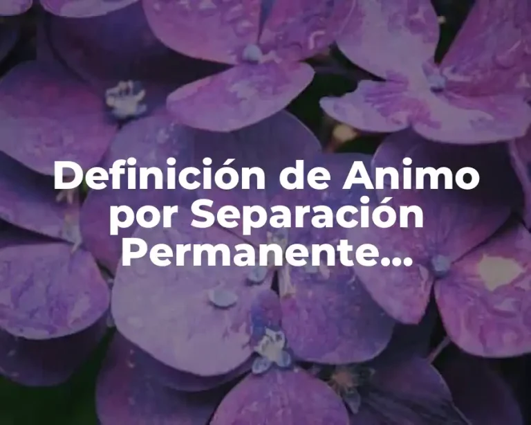 Definición de Animo por Separación Permanente Habilidades