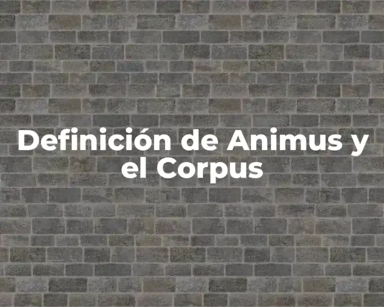 Definición de Animus y el Corpus