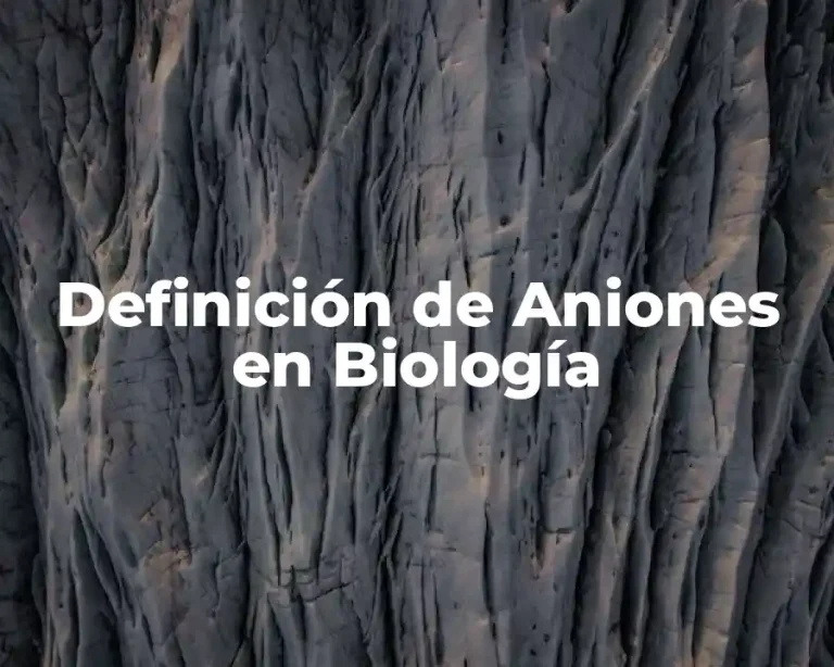 Definición de Aniones en Biología