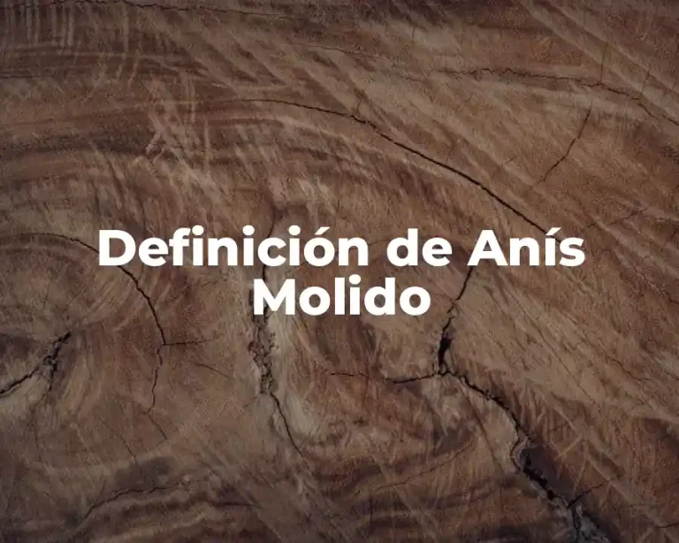 Definición de Anís Molido