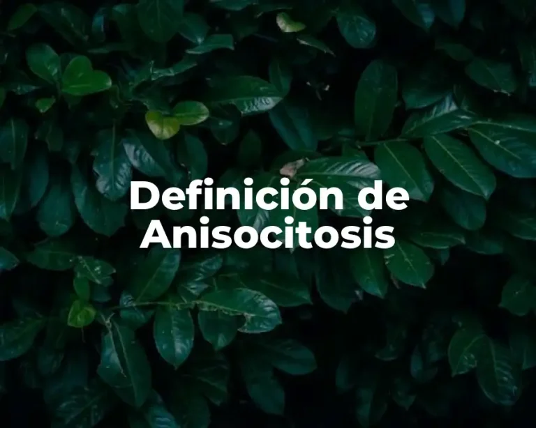 Definición de Anisocitosis