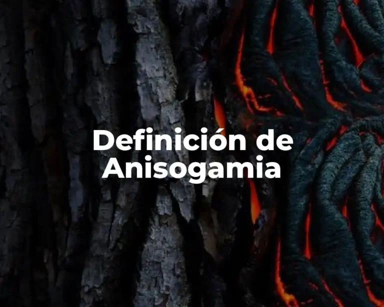 Definición de Anisogamia