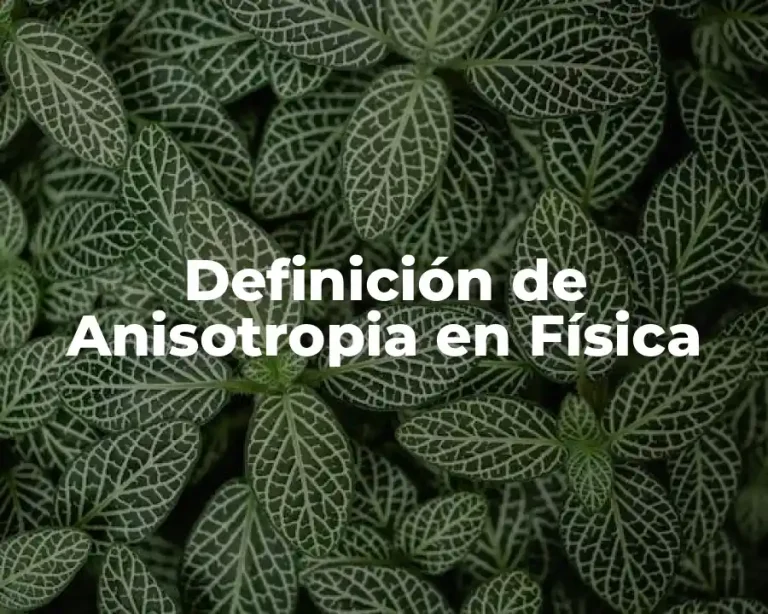 Definición de Anisotropia en Física