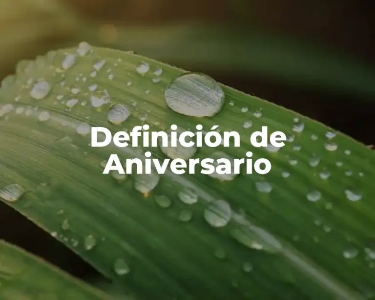 Definición de Aniversario